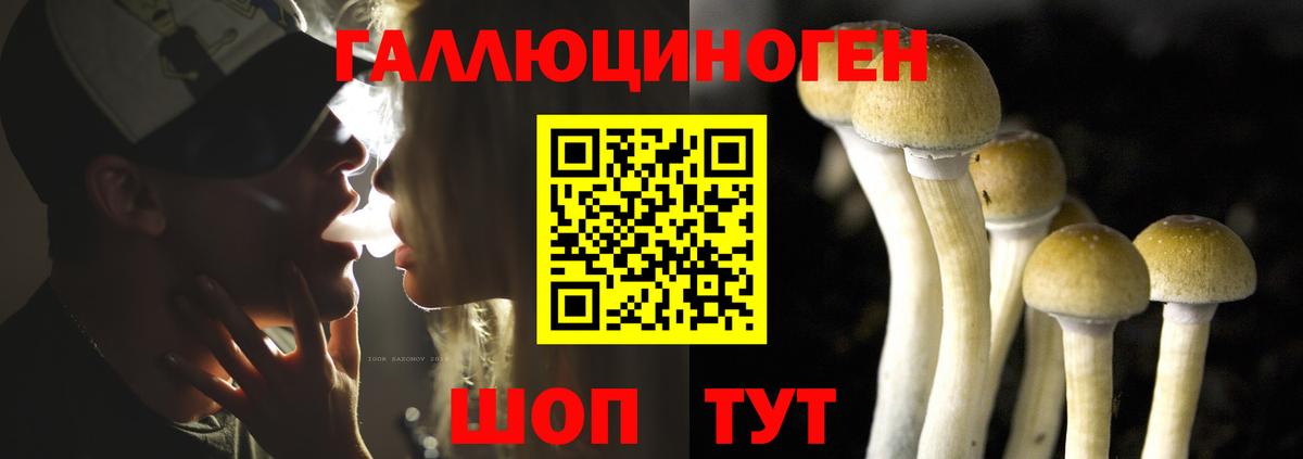 Галлюциногенные грибы ЛСД Чебоксары
